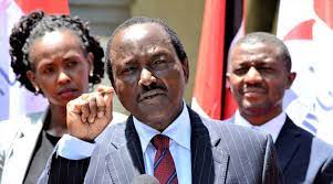 Wiper Leader Kalonzo Musyoka addressing a press conference at the party headquarters in Nairobi/FILE