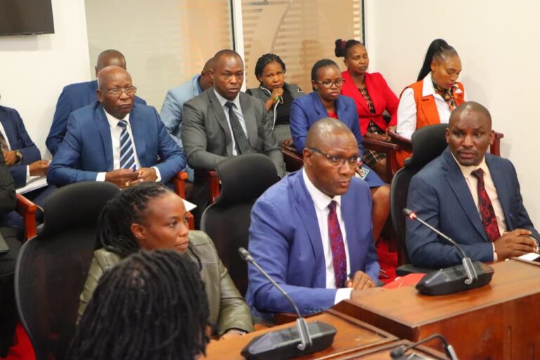 Governor Badilisha grilled by Senate over municipal autonomy, water billing gaps